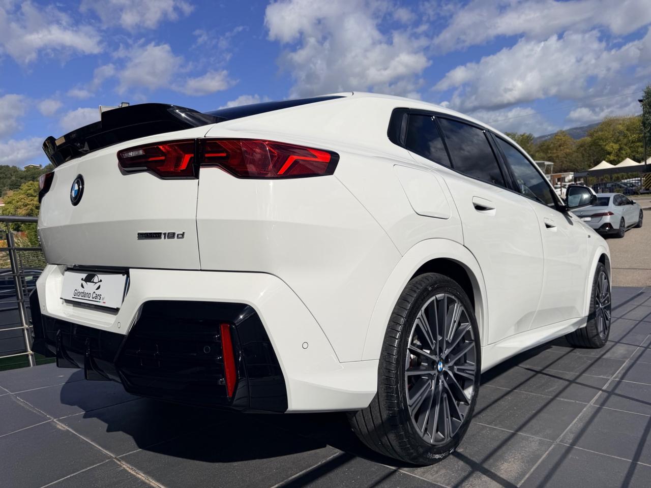 Bmw X2 sDrive 18d 150cv Msport Pro tetto
