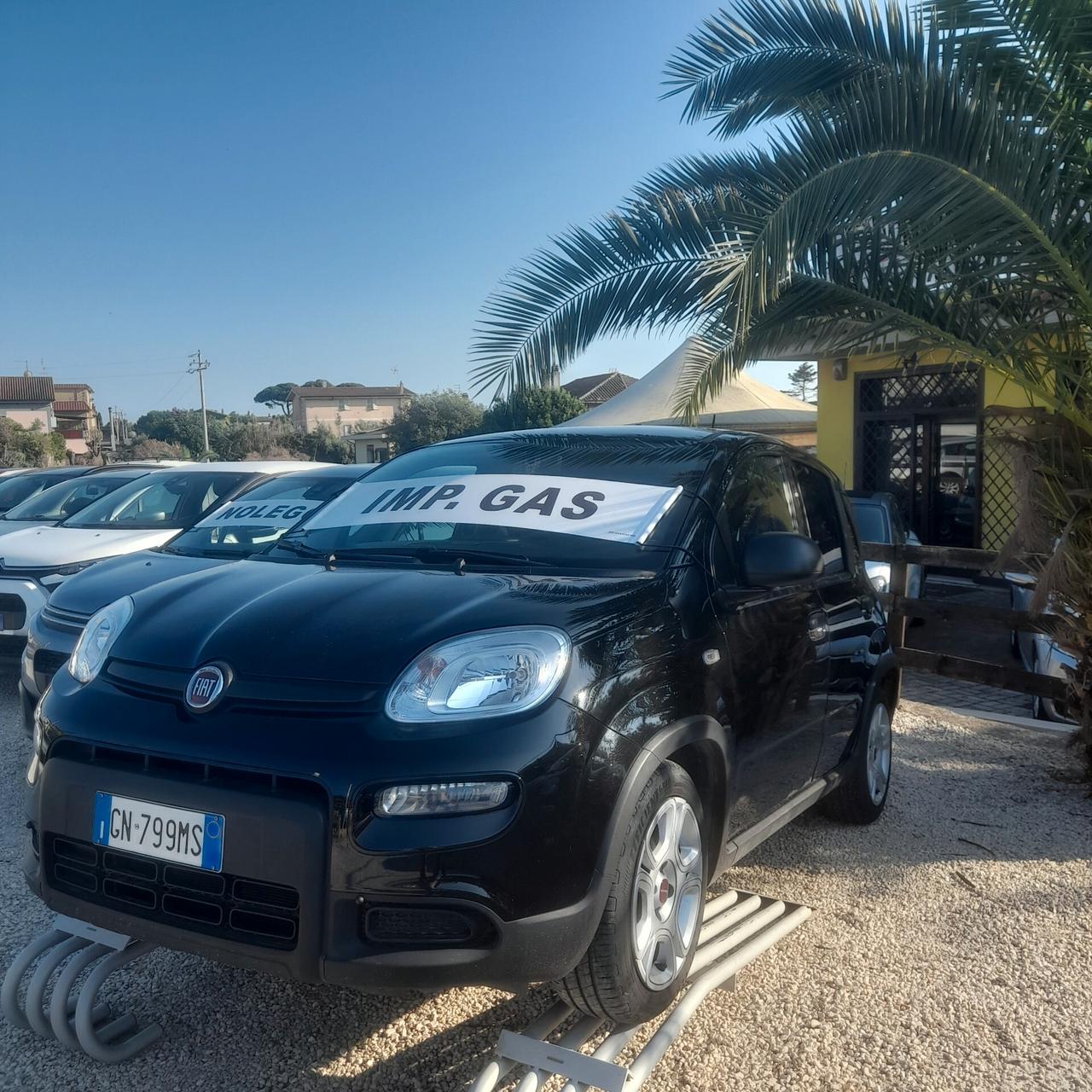 Fiat Panda 1.0 FireFly S&S Hybrid 2024''