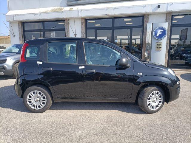 FIAT Panda 1.0 FireFly S&S Hybrid PREZZO REALE