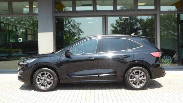 FORD Kuga 2.5 Plug In Hybrid 225 CV CVT 2WD ST-Line