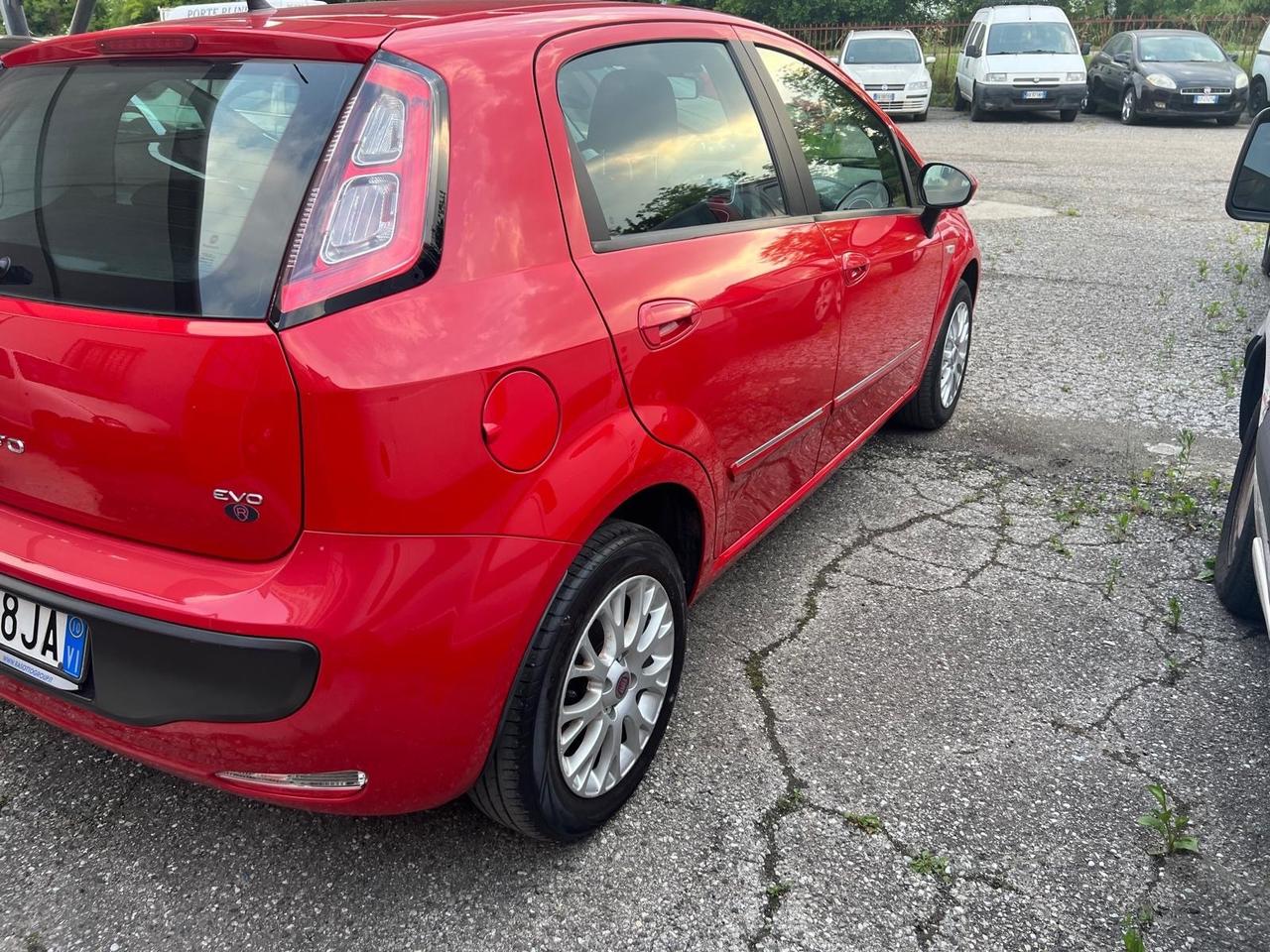 Fiat Punto Evo 1.4 5 porte Dynamic X Neopatentati
