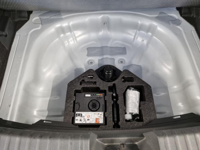 CUPRA Leon 1.5 Hybrid 150 CV DSG