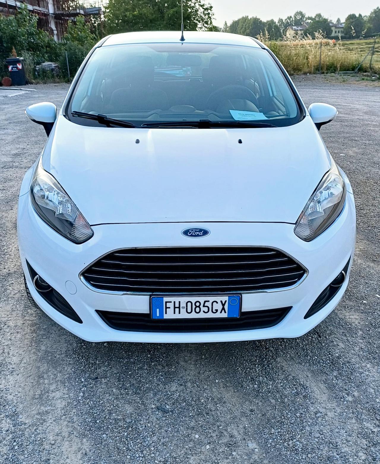 Ford Fiesta 1.4 5 porte Bz.- GPL Black & White Edition