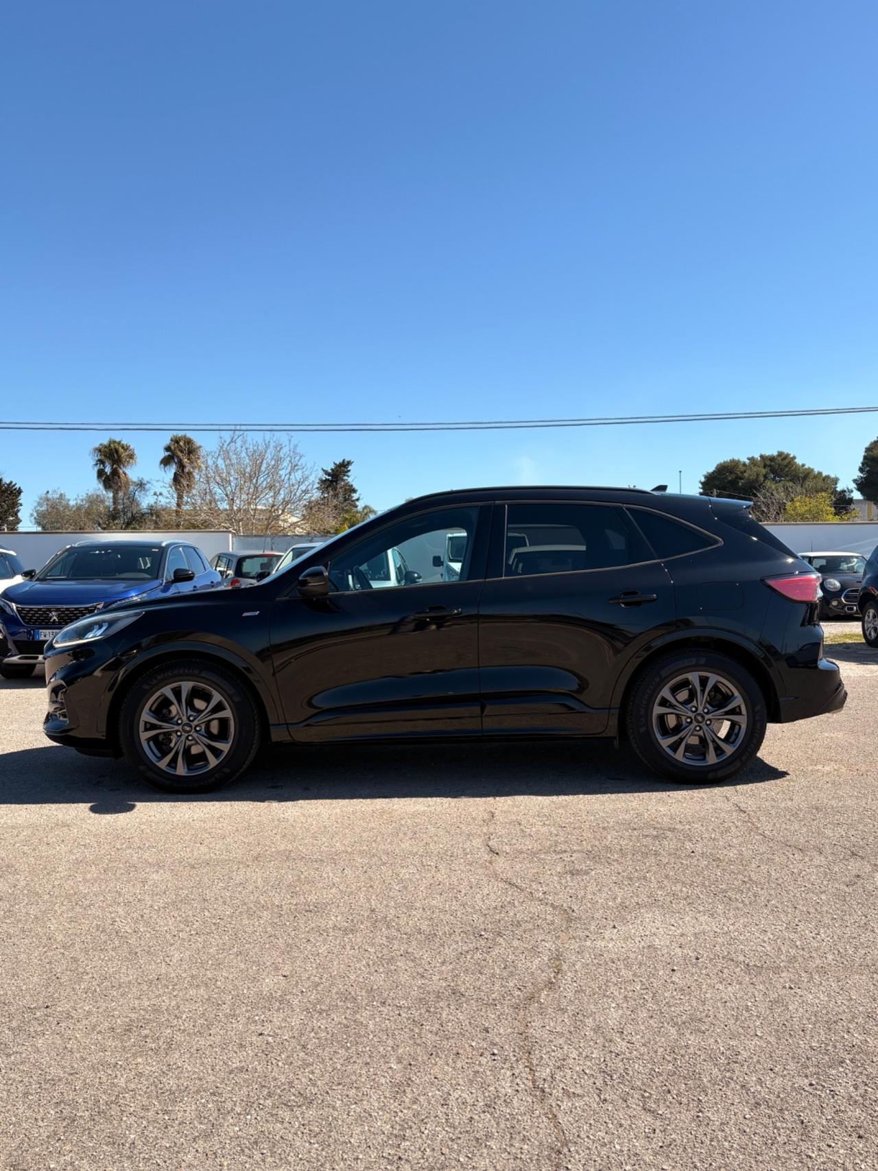 Ford Kuga 1.5 EcoBlue 120 CV 2WD ST-Line