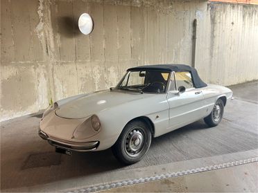 Alfa Romeo Spider 1750 Osso di seppia