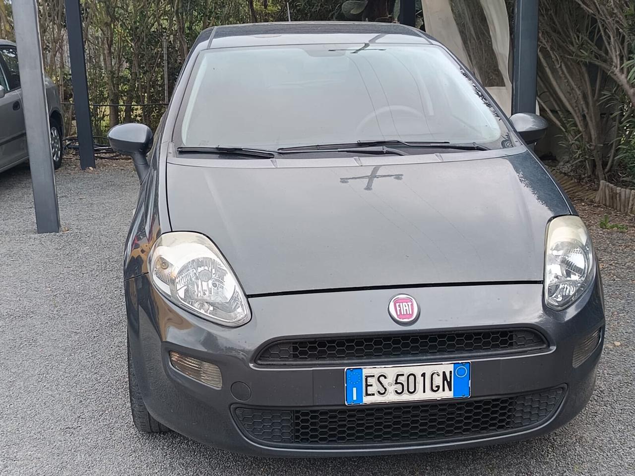 IN ARRIVO Fiat Punto 2013 - 1.3mjt Lb automobili