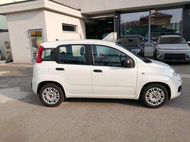 FIAT Panda 1.0 FireFly S&S Hybrid Easy