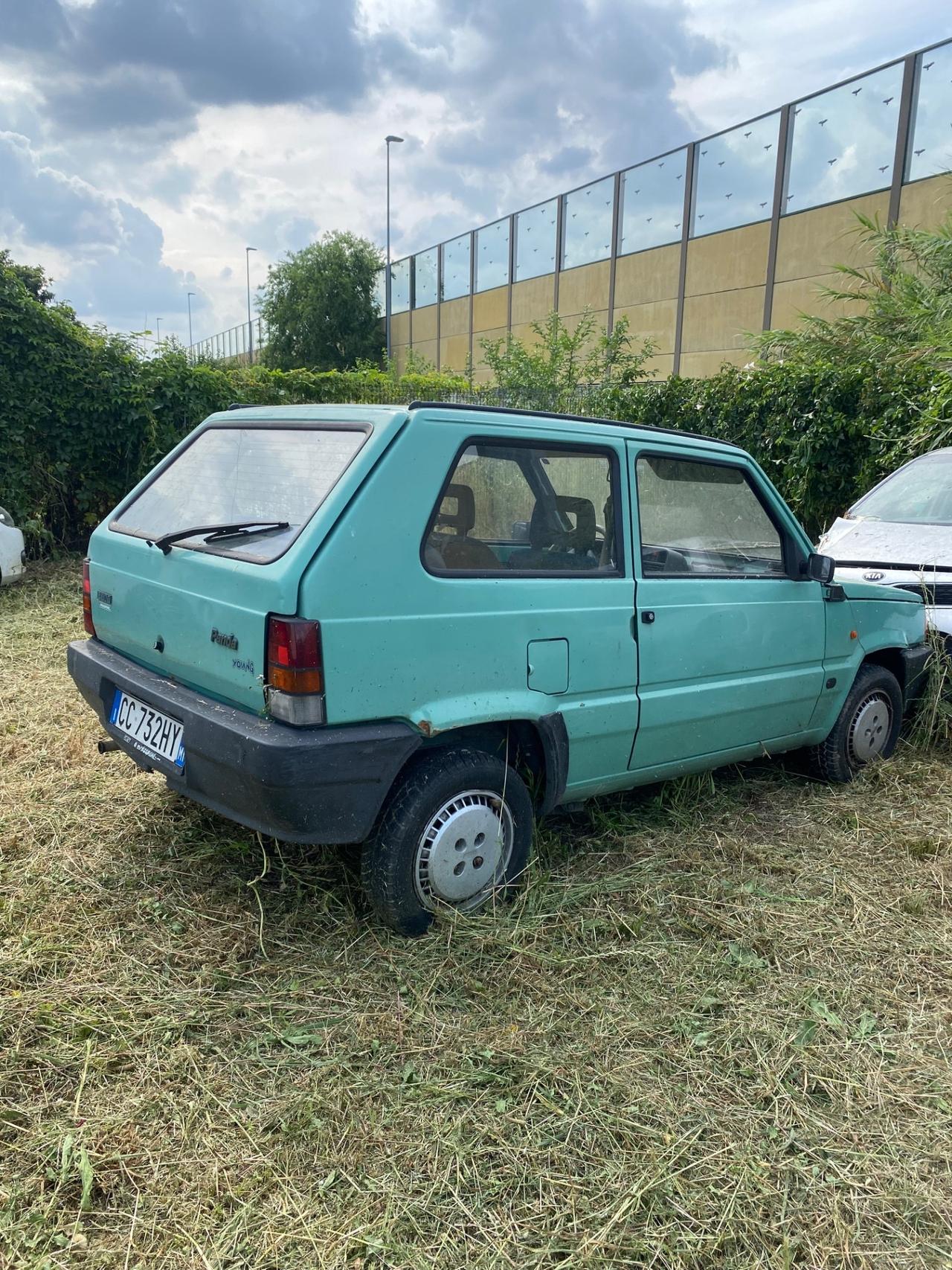 Fiat Panda 1100 i.e. cat Young