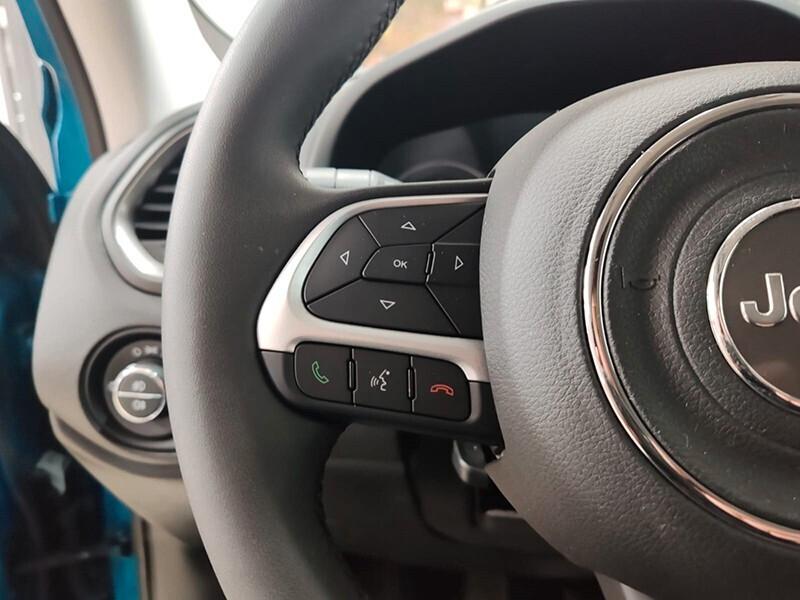 Jeep Renegade 1.6 Mjt 130 CV Limited Plus Vari Colori