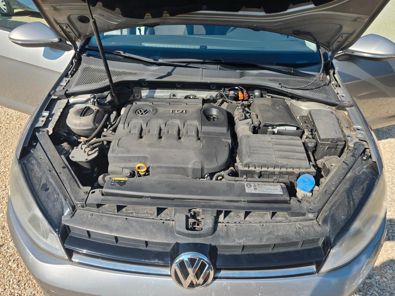 VW Golf 1.6 TDI 5p. 105CV BlueMotion Technology