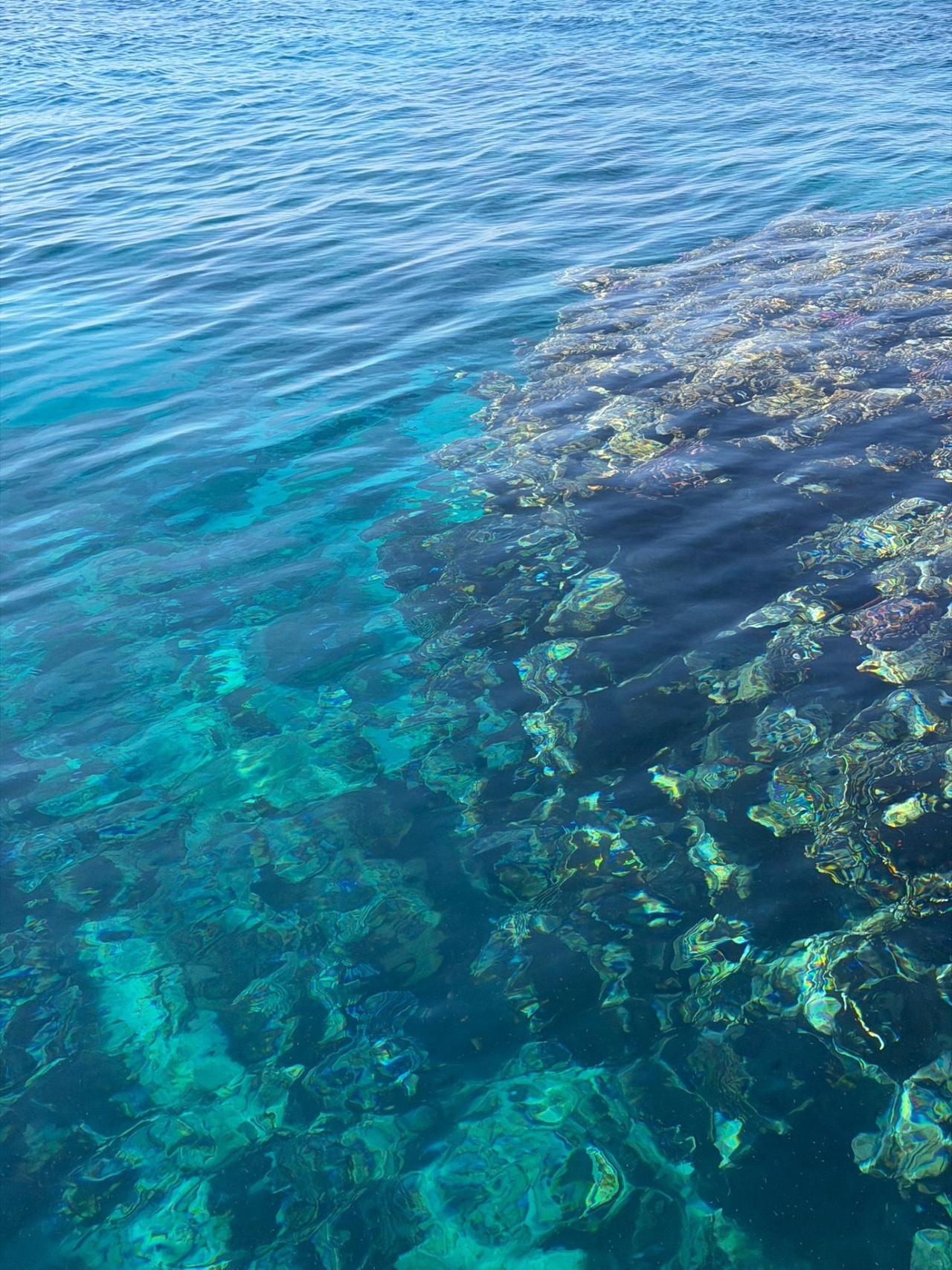 Porsche Panamera 4-3.0 S E-Hybrid - con iva 22-prezzo top