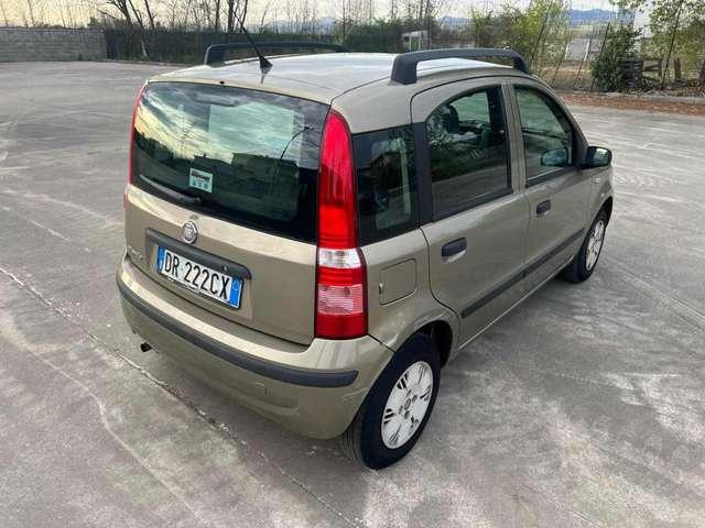 Fiat Panda 1.2 Dynamic NEOPATENTATI