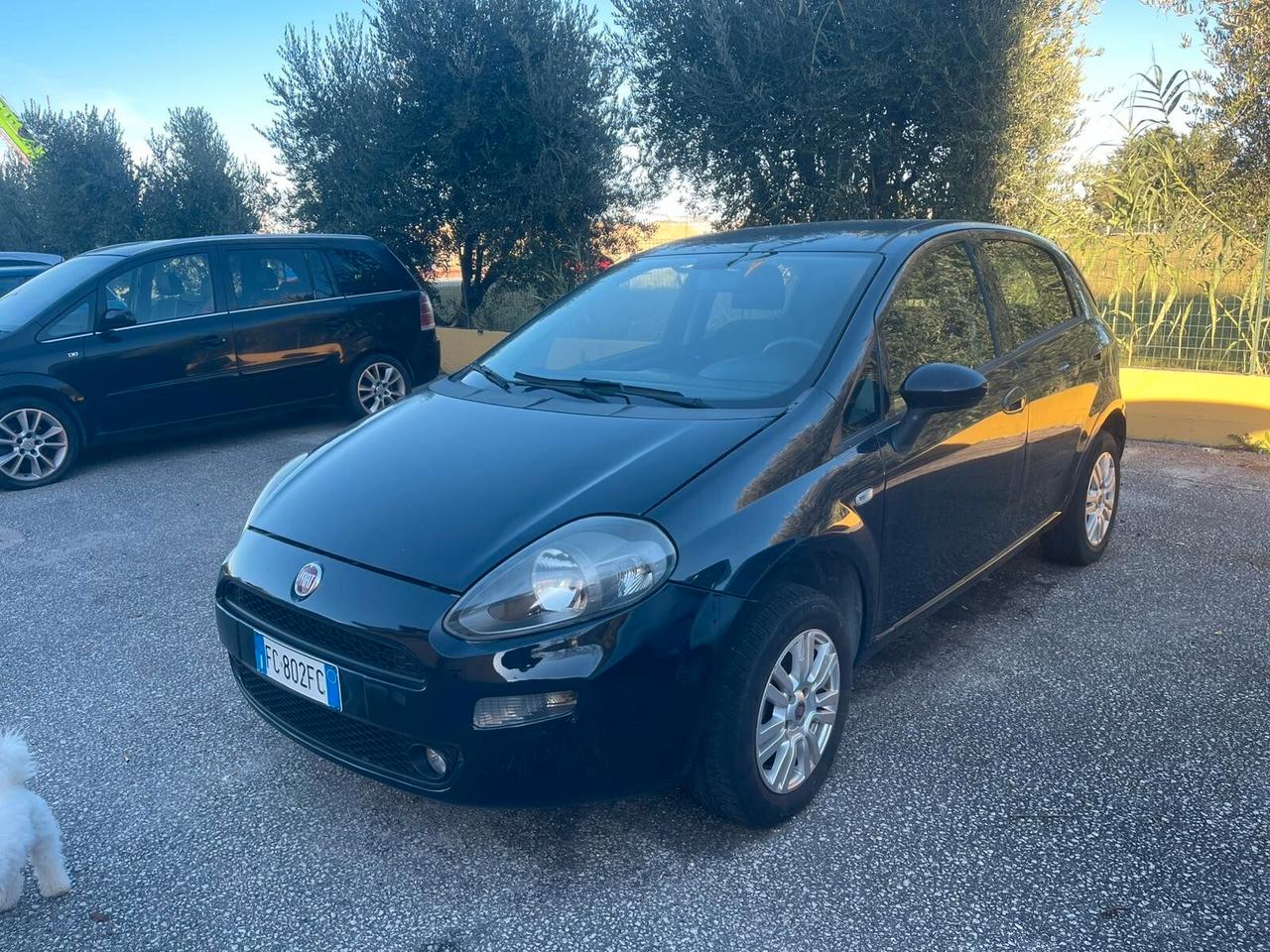 Fiat Punto 1.4 8V 5 porte Natural Power Lounge