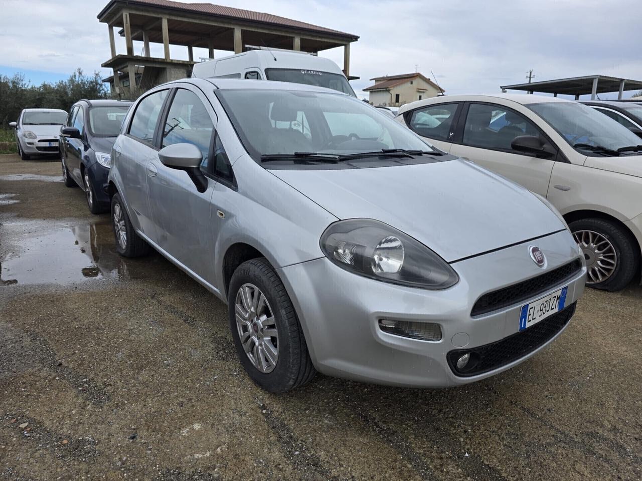 Fiat Punto 1.2 8V 5 porte Easy 3515459489.