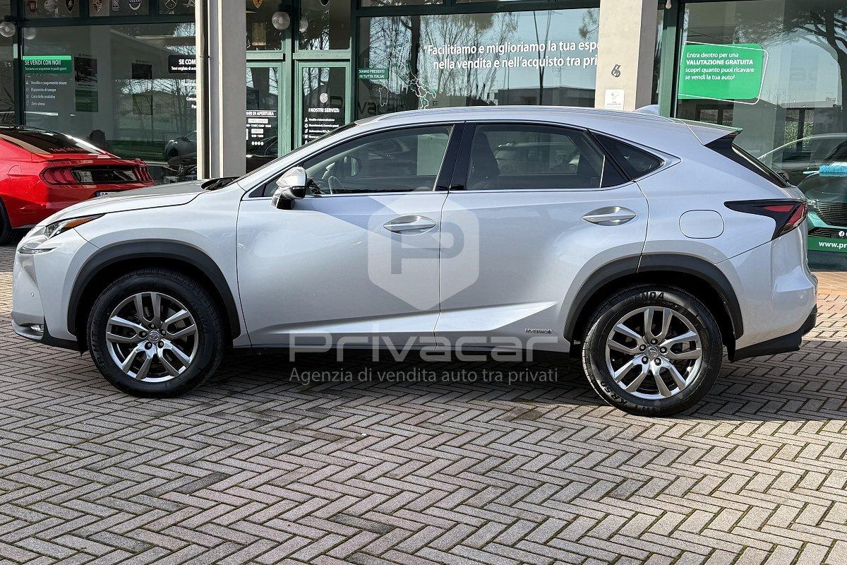 LEXUS NX Hybrid 4WD Executive