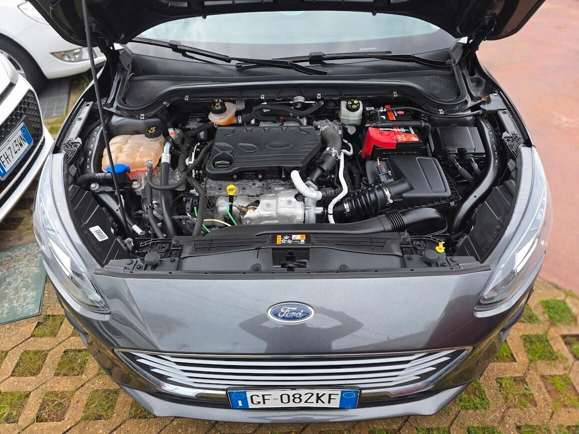 Ford Focus 1.5 EcoBlue 120 CV SW Business