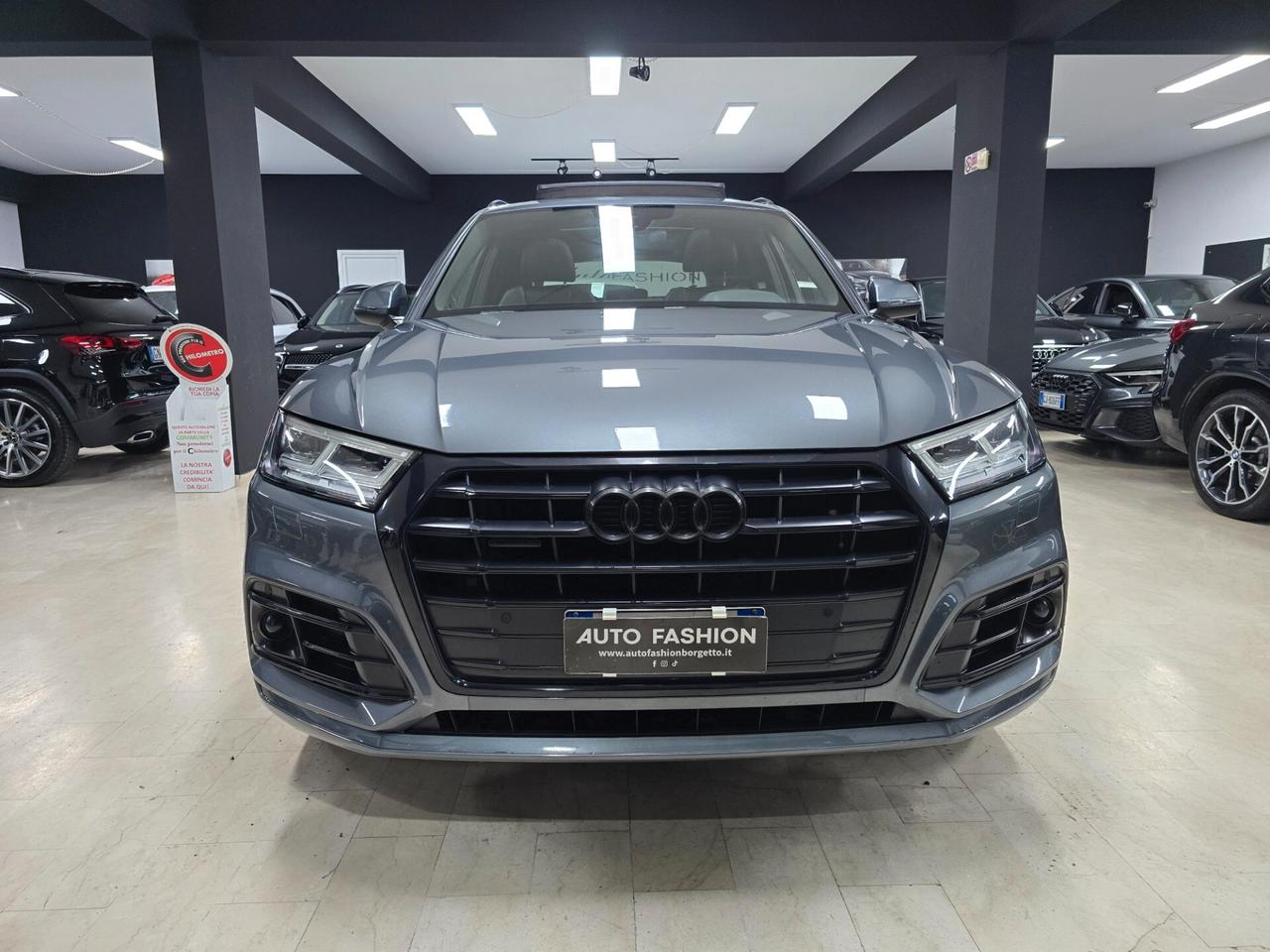 Audi Q5 40 TDI quattro S tronic line plus (Tetto Panorama)