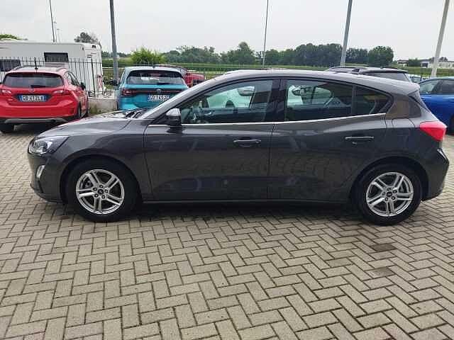 Ford Focus 1.5 EcoBlue 120 CV 5p. Business