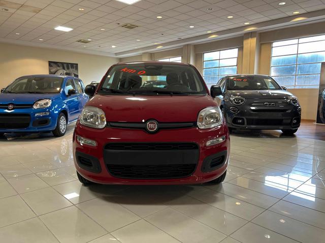 FIAT Panda 1.0 FireFly S&S Hybrid Pandina