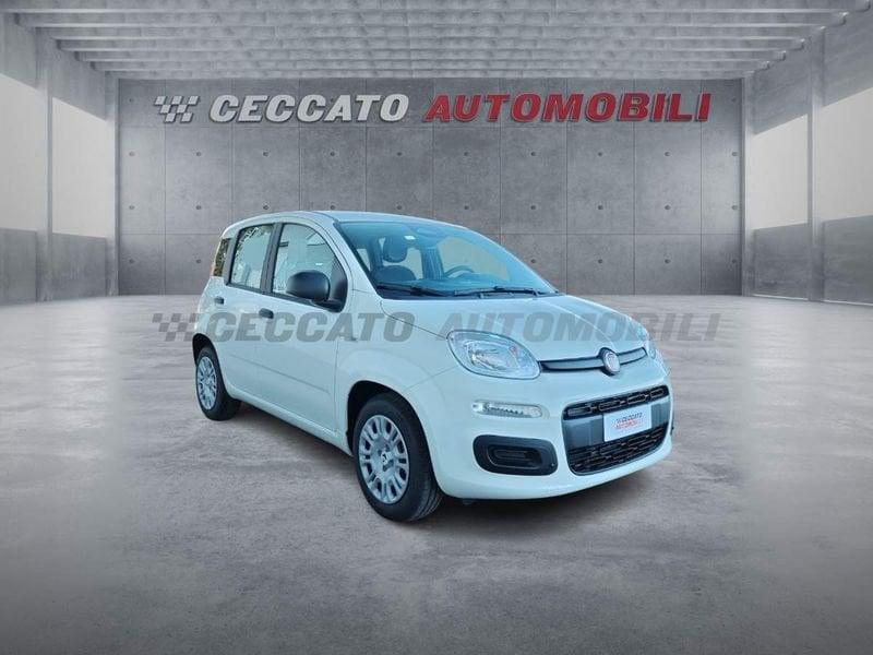 FIAT Pandina Pandina 1.0 65cv Hybrid Icon