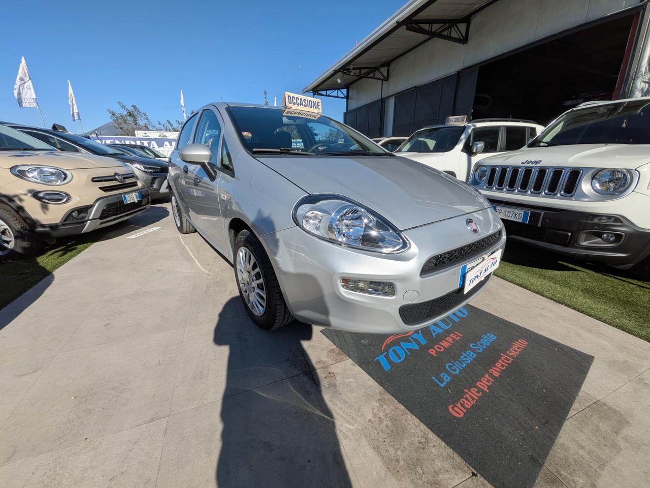 Fiat Punto 1.2 8V 5 porte Lounge nord ita