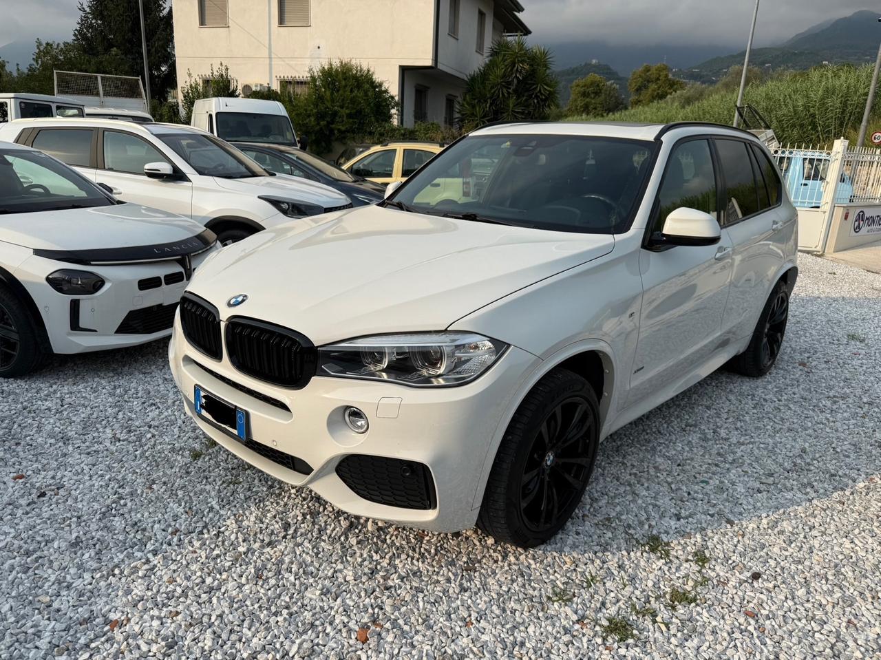 Bmw X5 sDrive25d Luxury
