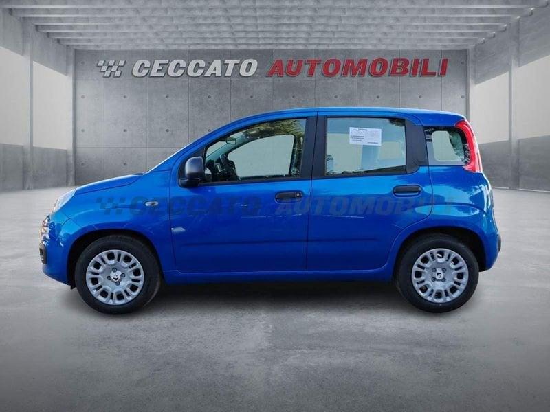 FIAT Panda Panda 1.0 firefly hybrid s&s 70cv