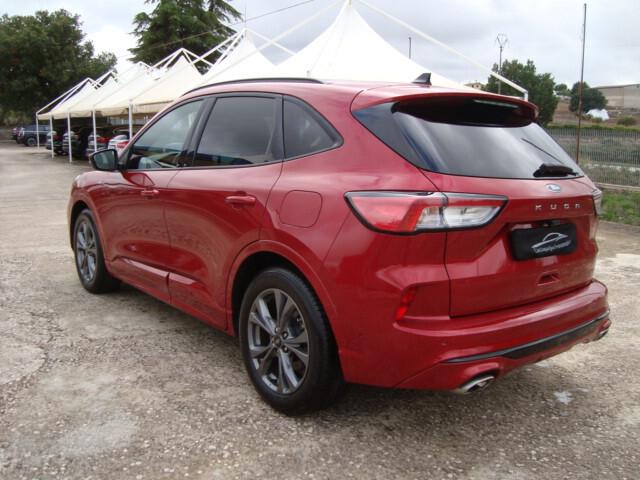 Ford Kuga 1.5 EcoBlue 120 CV 2WD ST-Line 2021