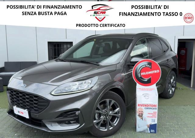 FORD Kuga 1.5 EcoBlue 120 CV aut. 2WD ST-Line X