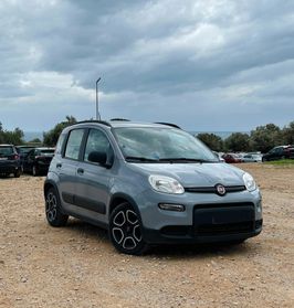 Fiat Panda 1.0 FireFly S&S Hybrid Sport 70cv