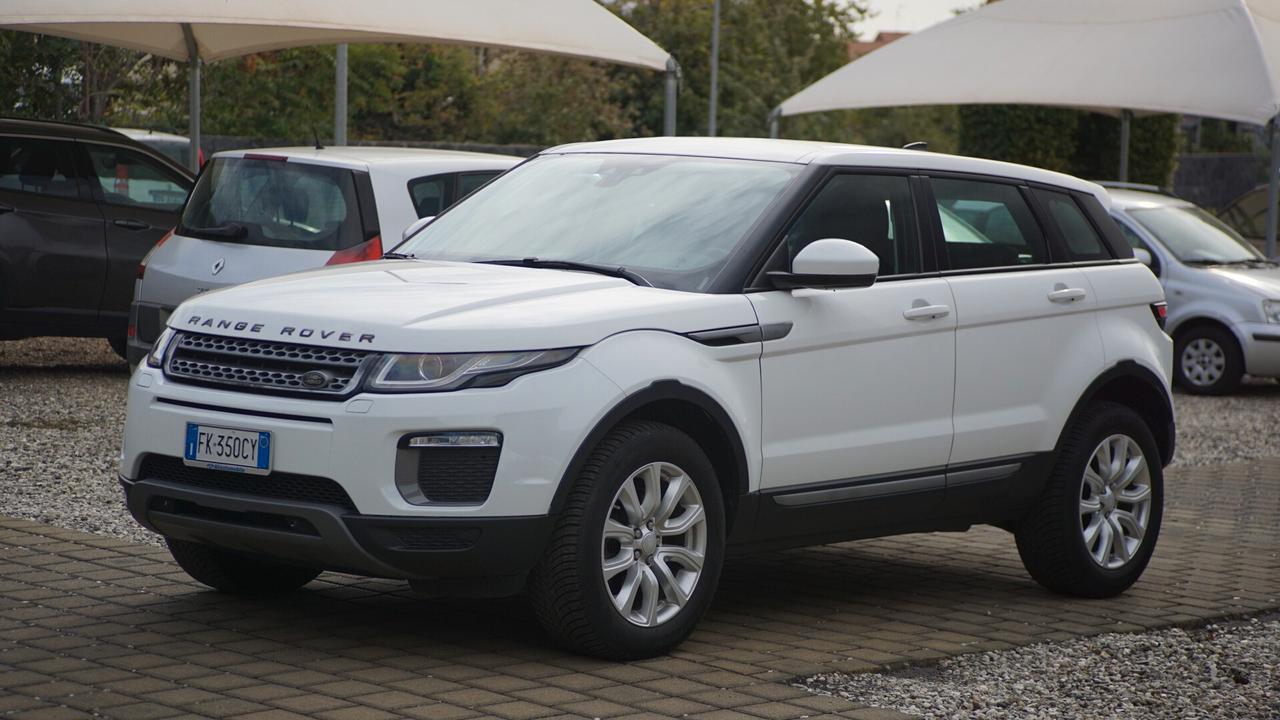 Land Rover Range Evoque 2.0 TD4 150 CV 5p. Business Edition Pure