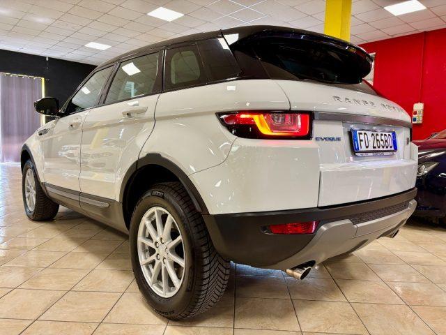 LAND ROVER Range Rover Evoque 2.0 TD4 150 CV 5p. N1 AUTOCARRO PREZZO +IVA