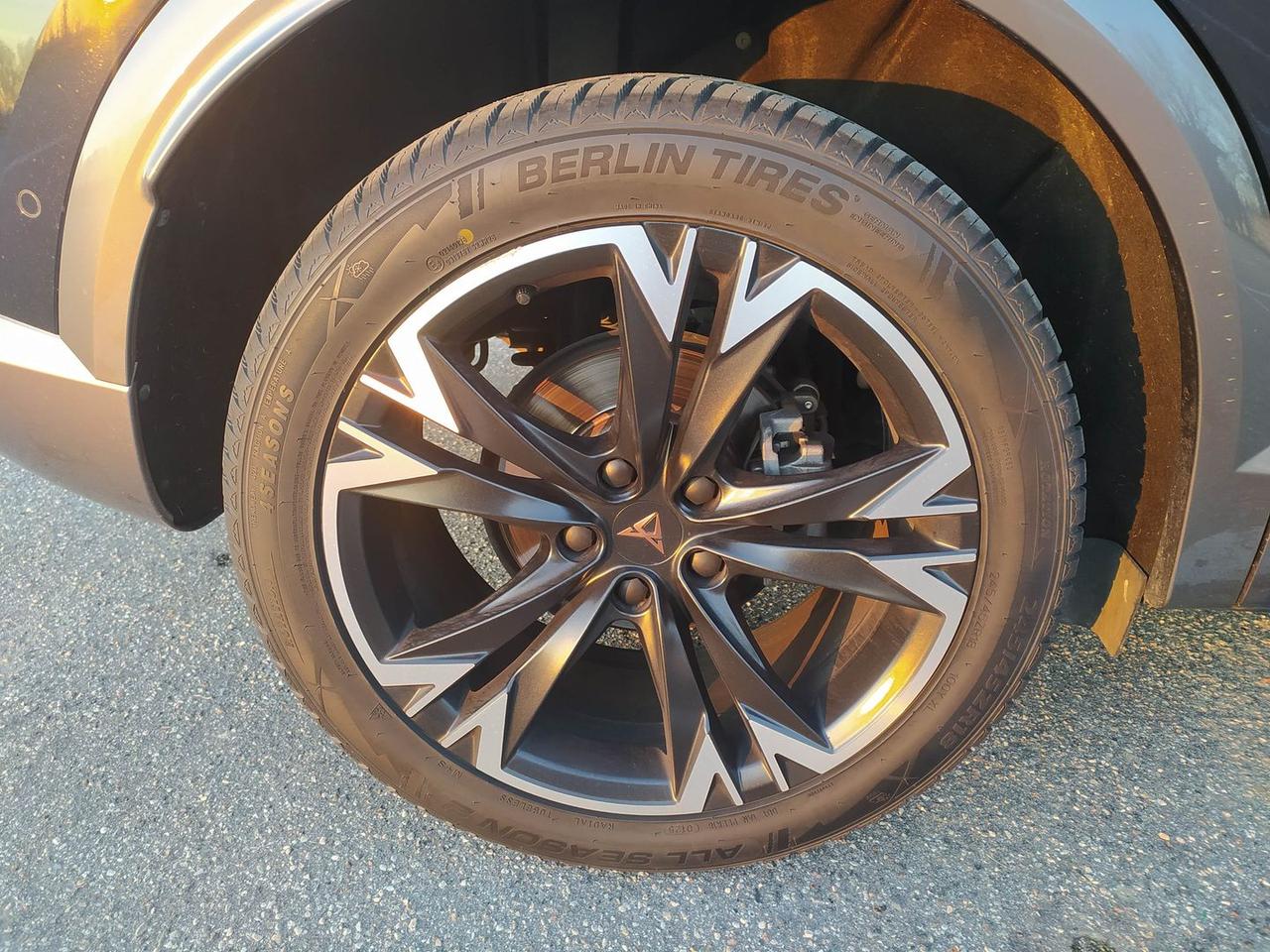 Cupra Formentor Tribe Edition 2.0 TDI #8281