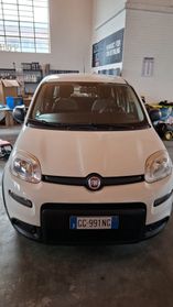 PANDA VAN 4 POSTI