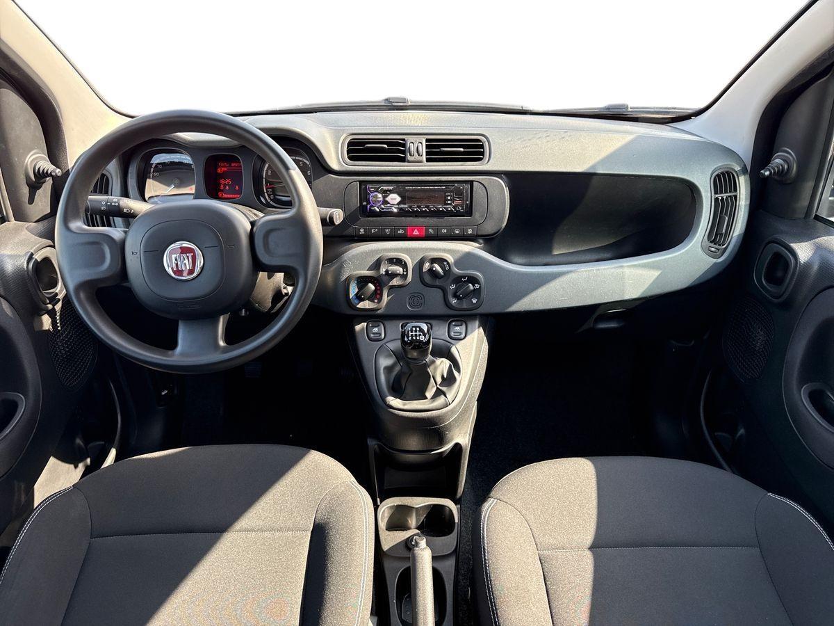 FIAT Panda III 2021 - Panda 1.0 firefly hybrid s&s 70cv