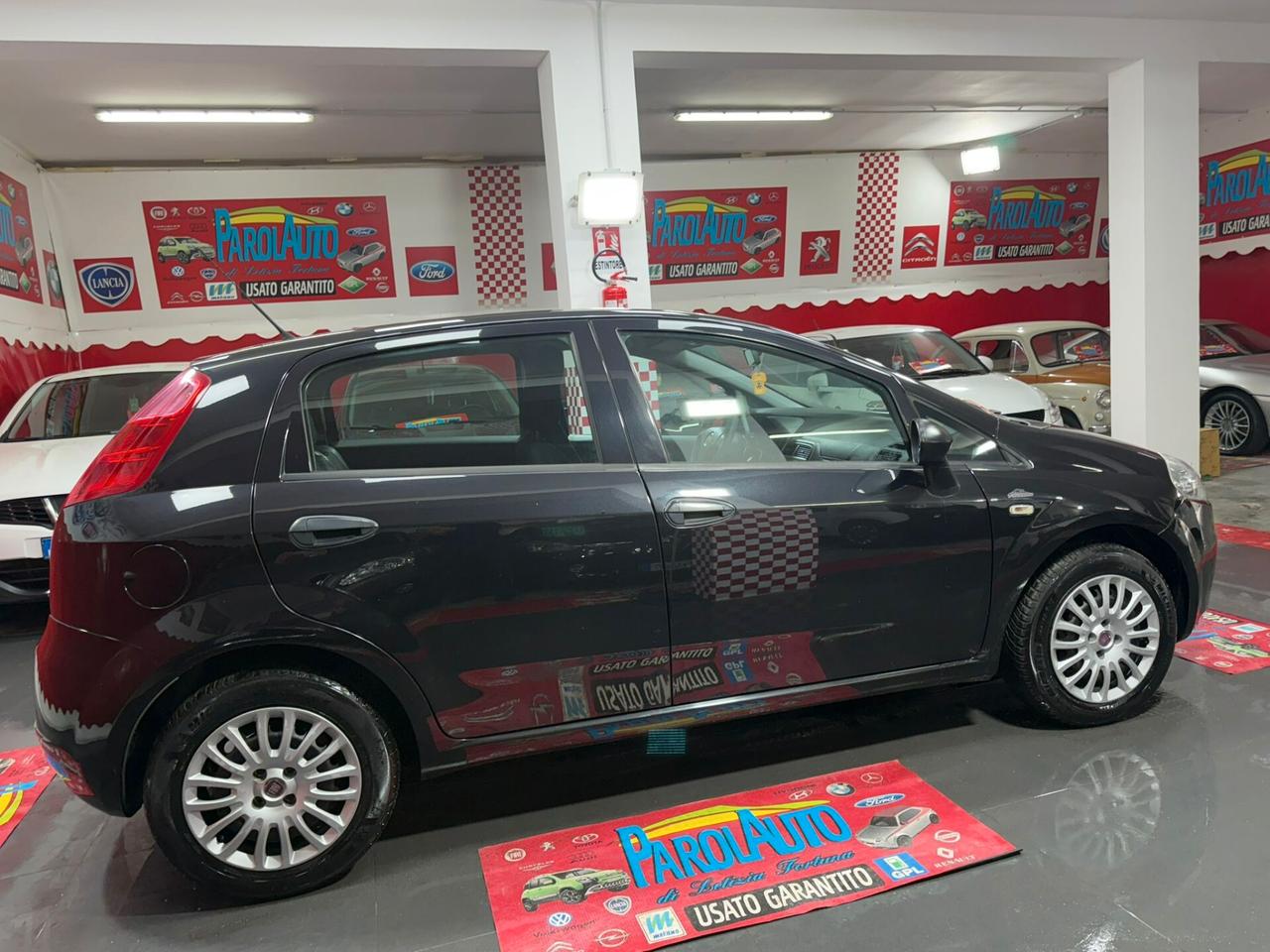 Fiat Punto 1.2 69cv 5 porte Lounge - 2013