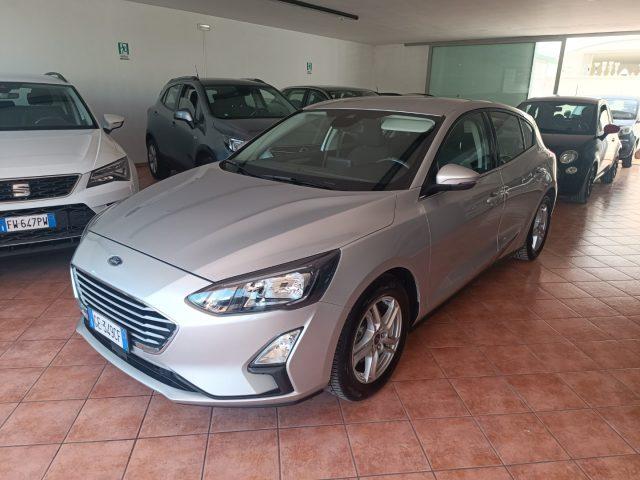 FORD Focus 1.5 EcoBlue 120 CV 5p. Business