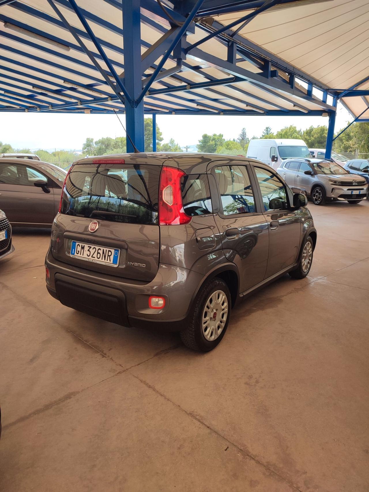 Fiat Panda 1.0 FireFly S&S Hybrid 70cv