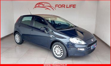 FIAT Punto 1.2 Street 5p NEOPATENTATI