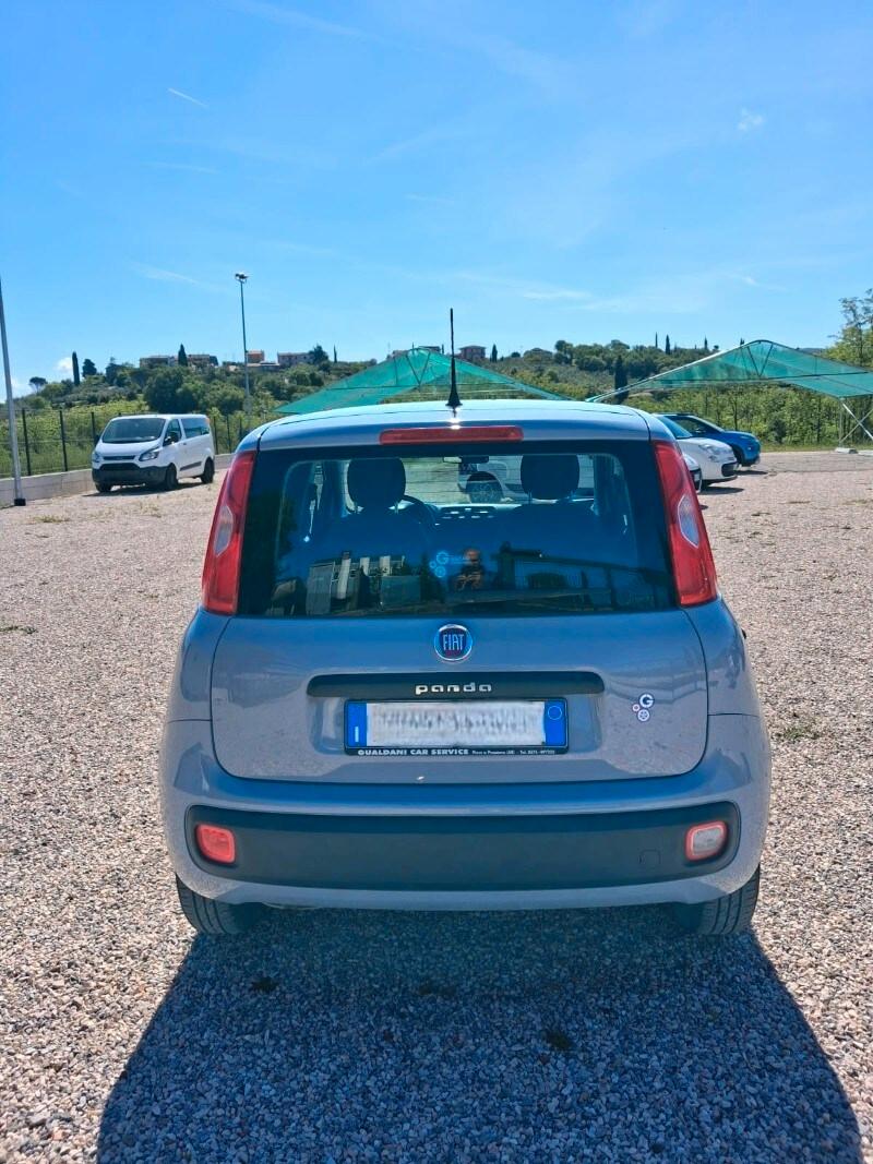 FIAT Panda 3ª serie Panda 1.2 Easy