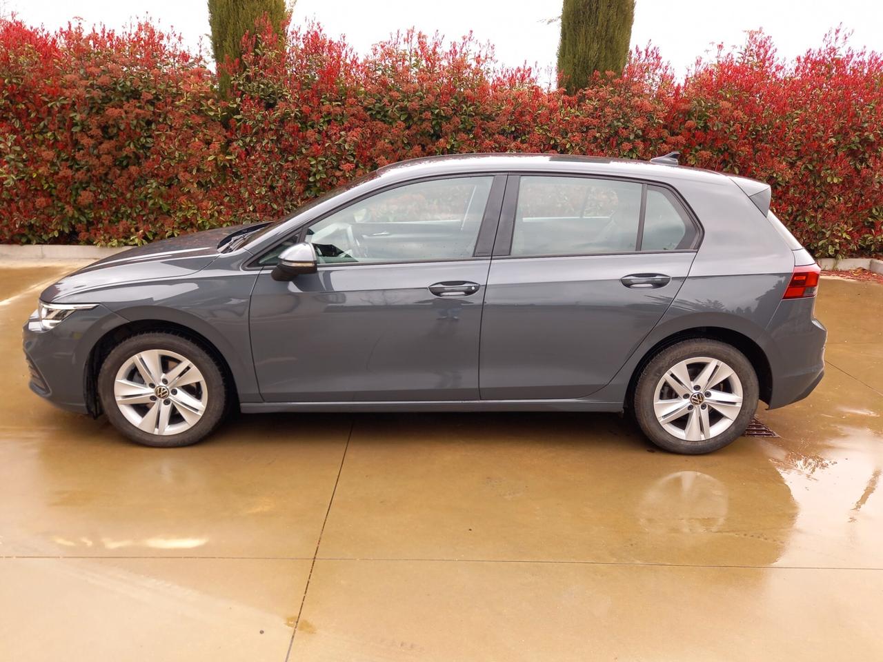 Volkswagen Golf 2.0 TDI 150 CV DSG 2022