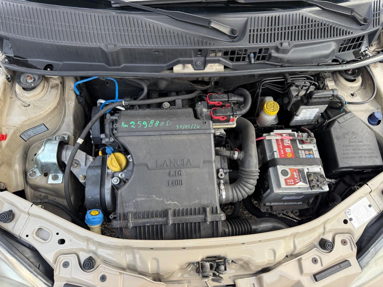 Lancia Ypsilon 1.4 16V Oro Giallo Perfetta