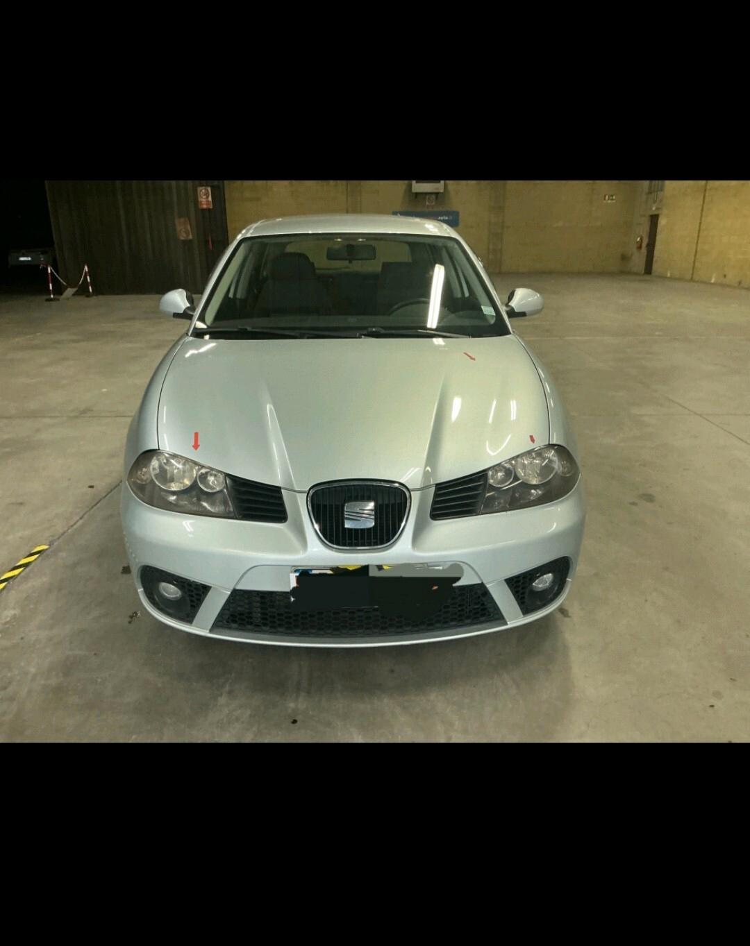 Seat Ibiza 1.4 TDI 80CV 5p. Special Edition 2009