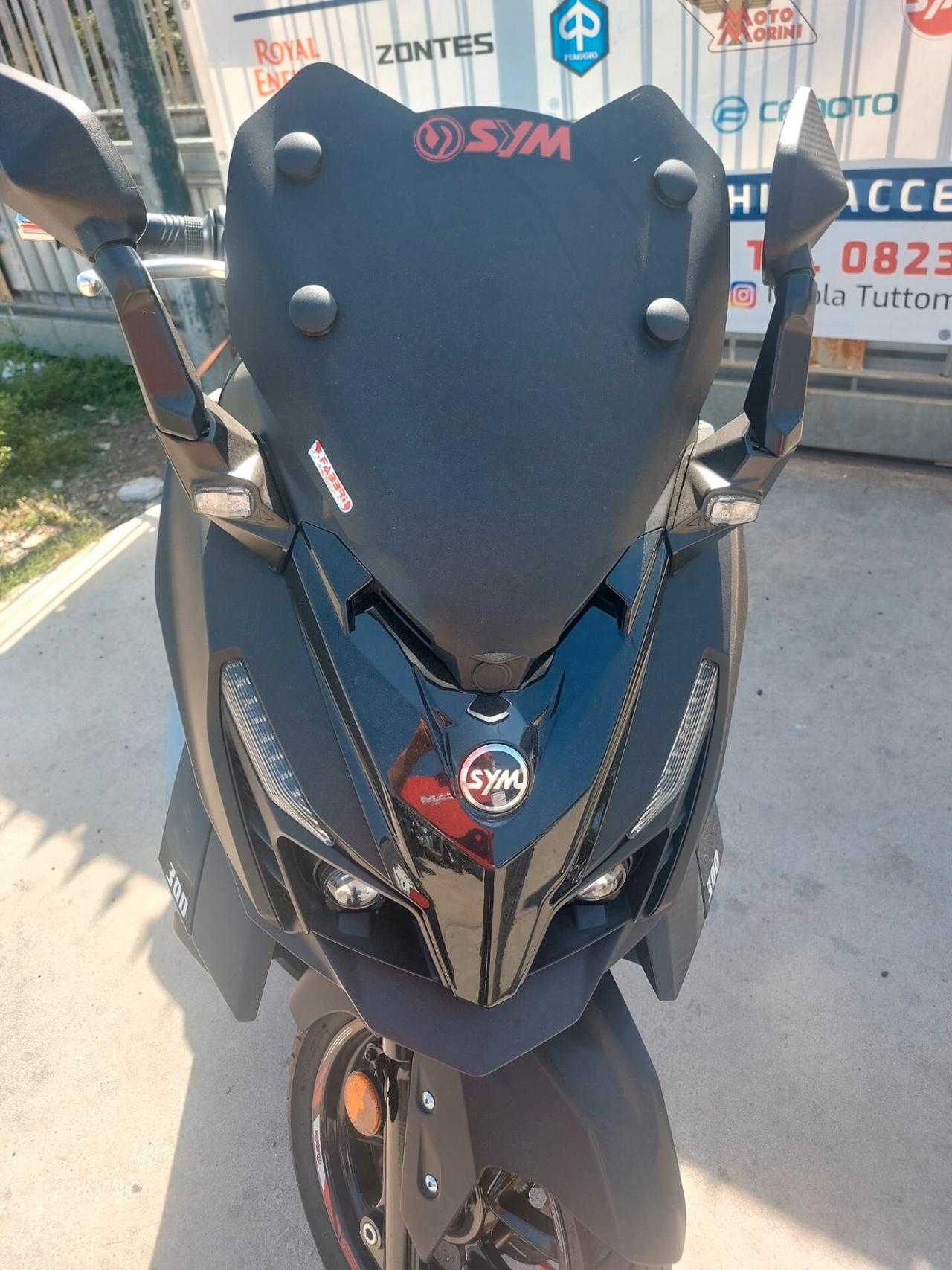Sym Cruisym 300