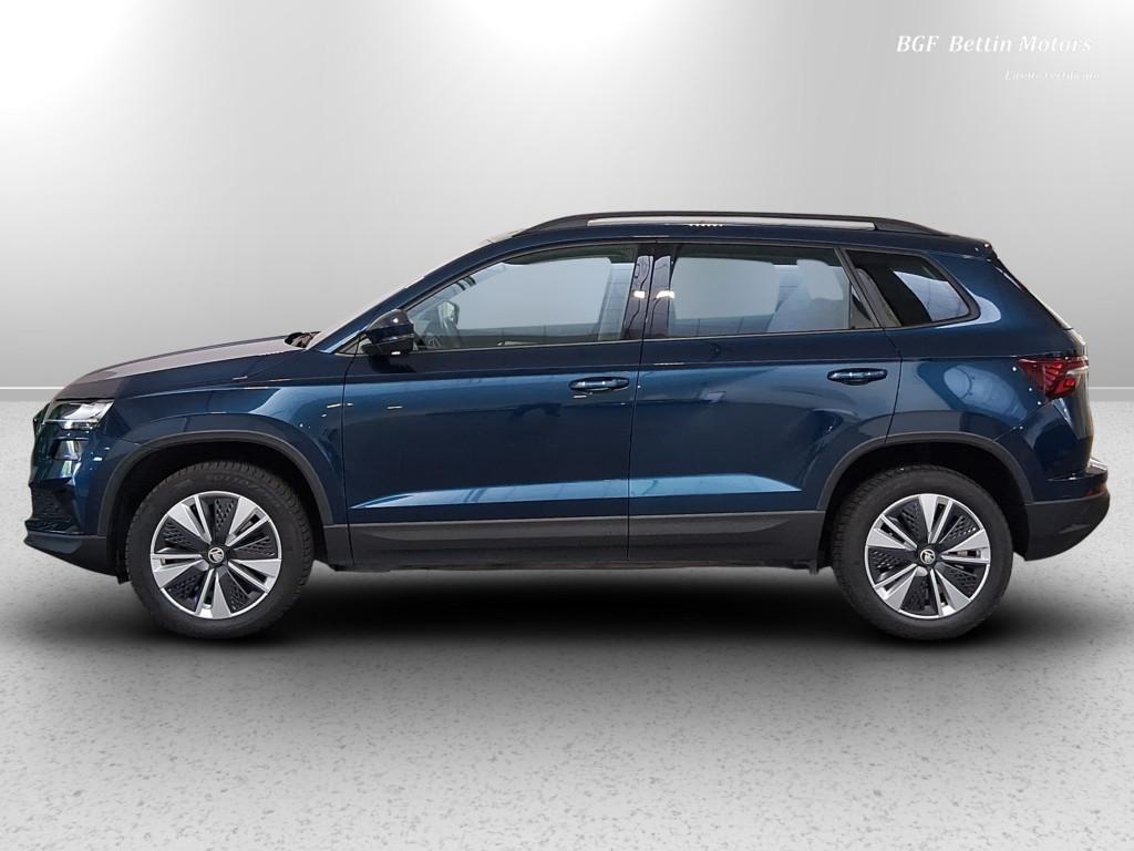 Skoda Karoq 2.0 tdi evo Executive 115cv dsg