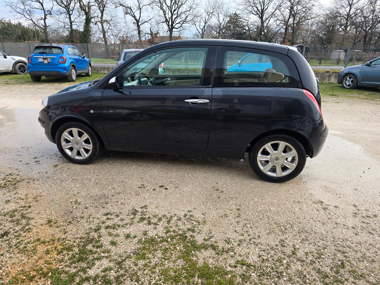 Lancia Ypsilon 1.3 Multijet 16V Platino 55kw