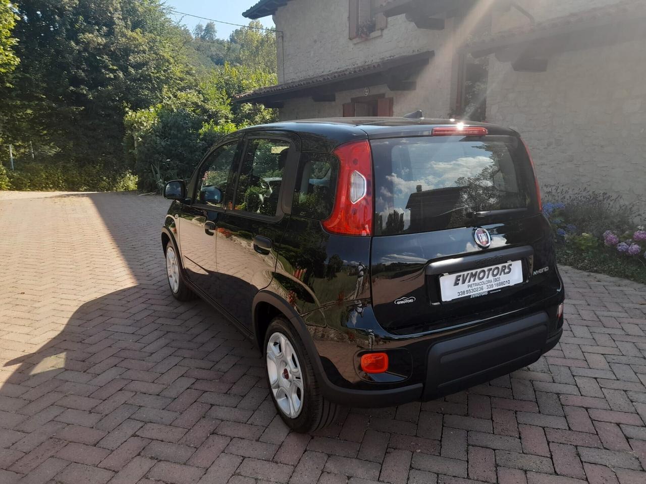 Fiat Panda 1.0 FireFly S&S Hybrid - KM 0 DI VARI COLORI - NO PROMO FINANZIARIA NEOPATENTATI