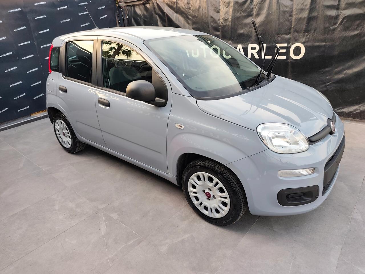 Fiat Panda 1.2 BENZINA GARANZIA 12 MESI