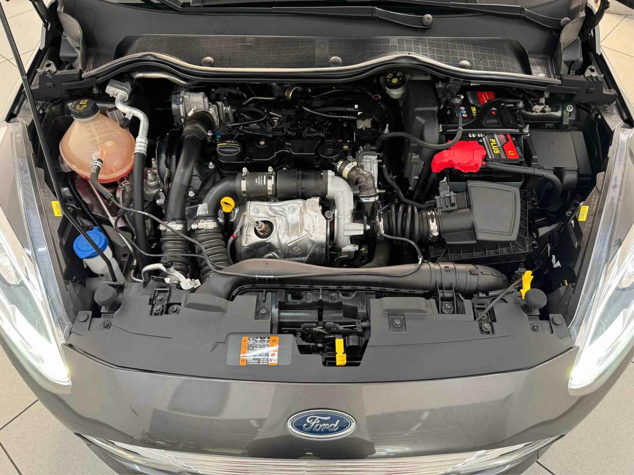Ford Fiesta Active 1.5 Diesel 5 Porte 86/CV Titanium 2019