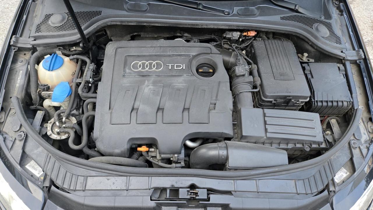 Audi A3 SPB 1.6 TDI 105 CV x Neopatentati